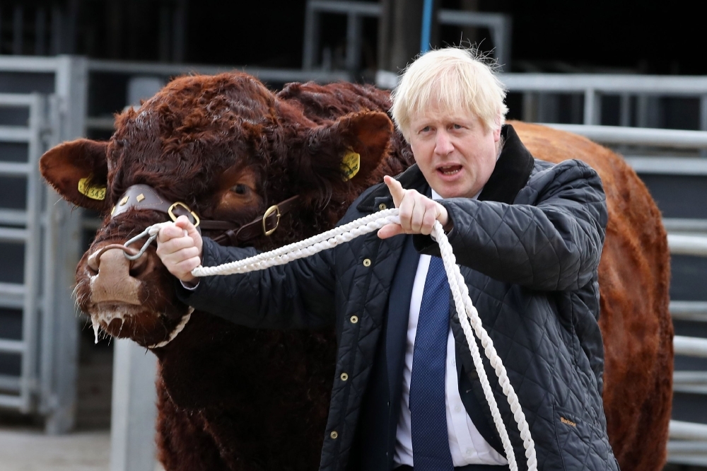 Britain's Prime Minister Boris Johnson tries to walk a bull during a visit to Darnford Farm in Banchory near Aberdeen in Scotland on Friday. Prime Minister Boris Johnson heads to Scotland on Friday in campaign mode despite failing to call an early election after MPs this week thwarted his hard-line Brexit strategy. — AFP