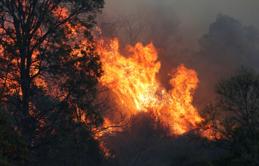 A bushfire rages near the rural town of Canungra in the Scenic Rim region of South East Queensland, Australia, September 6, 2019. -Reuters