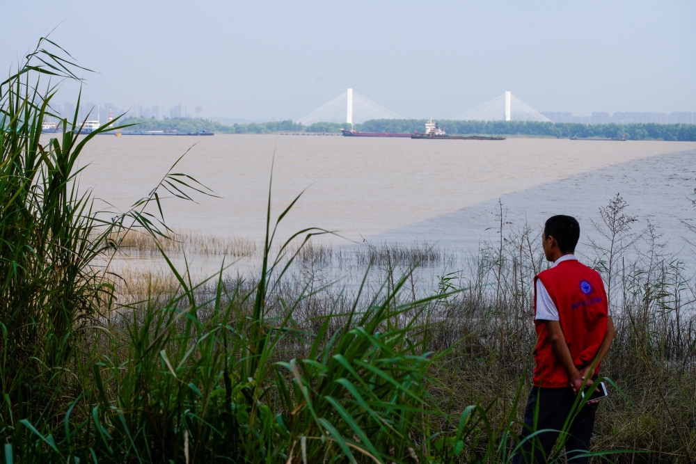 A conservationist keeps watch over porpoises at the Yangtze river near the city of Nanjing, Jiangsu province, China August 21, 2019. -Reuters