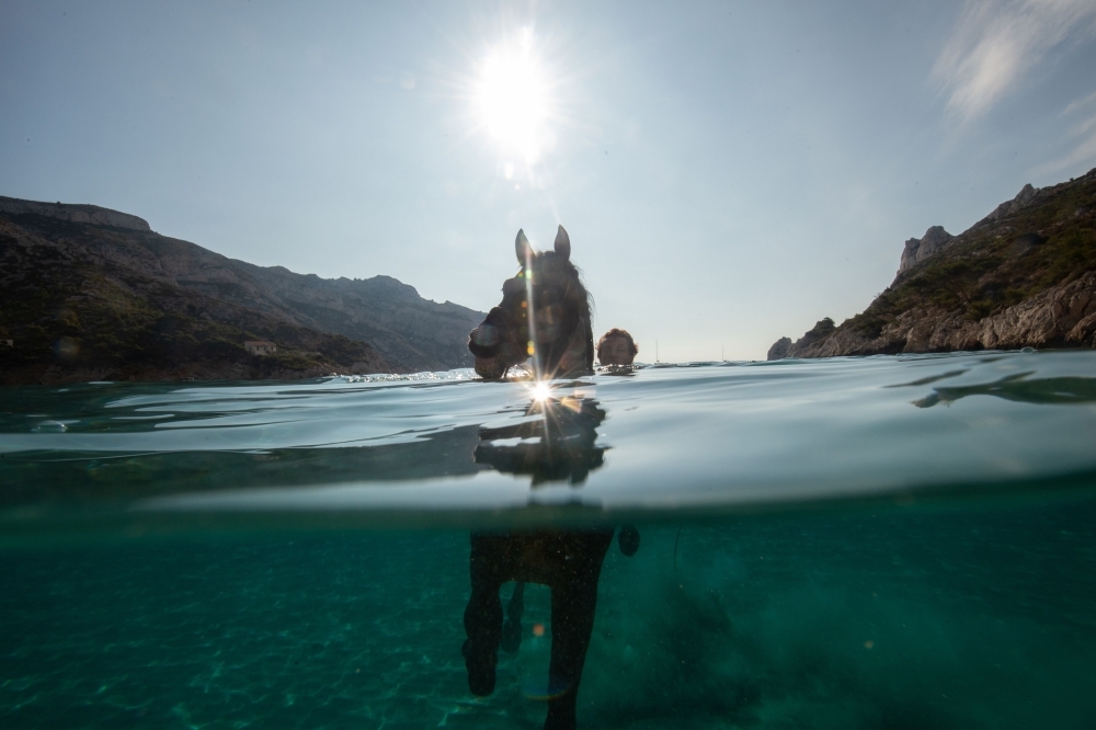 French artist Manolo trains his horse Indra to swim in the 