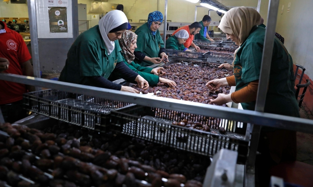 Palestinians work in a date packaging company owned by a fellow Palestinian in the Jordan Valley village of Jiftlik in the Israeli-occupied West Bank on Wednesday. — AFP
