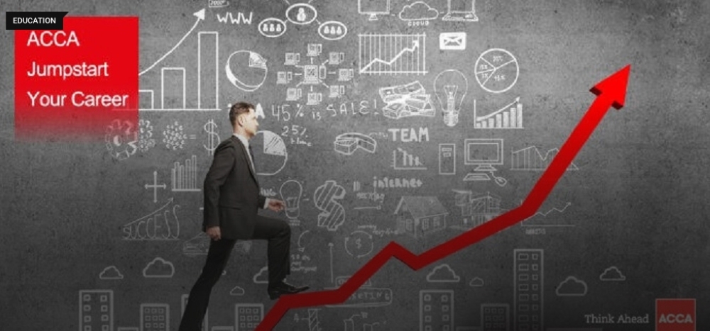 Public sector finance  professionals seek a  more radical future