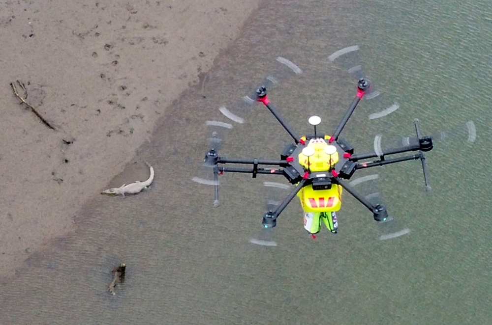 A drone incorporating crocodile spotting technology hovers over a two-meter (6.6 ft.) crocodile lying on the banks of the Mowbray River, north of Cairns, Australia, on Thursday. — AFP