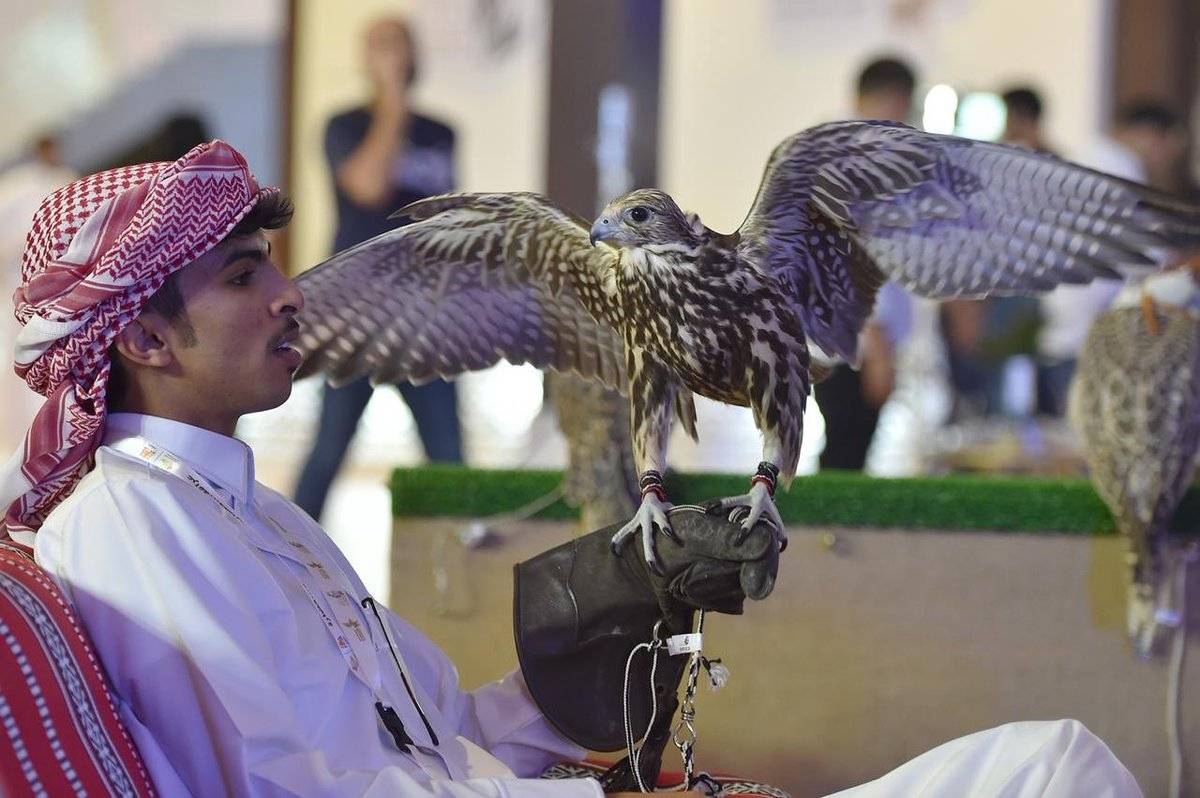 Falcons exhibition draws 70,000 visitors on first day