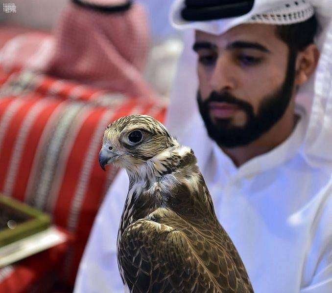 Falcons exhibition draws 70,000 visitors on first day