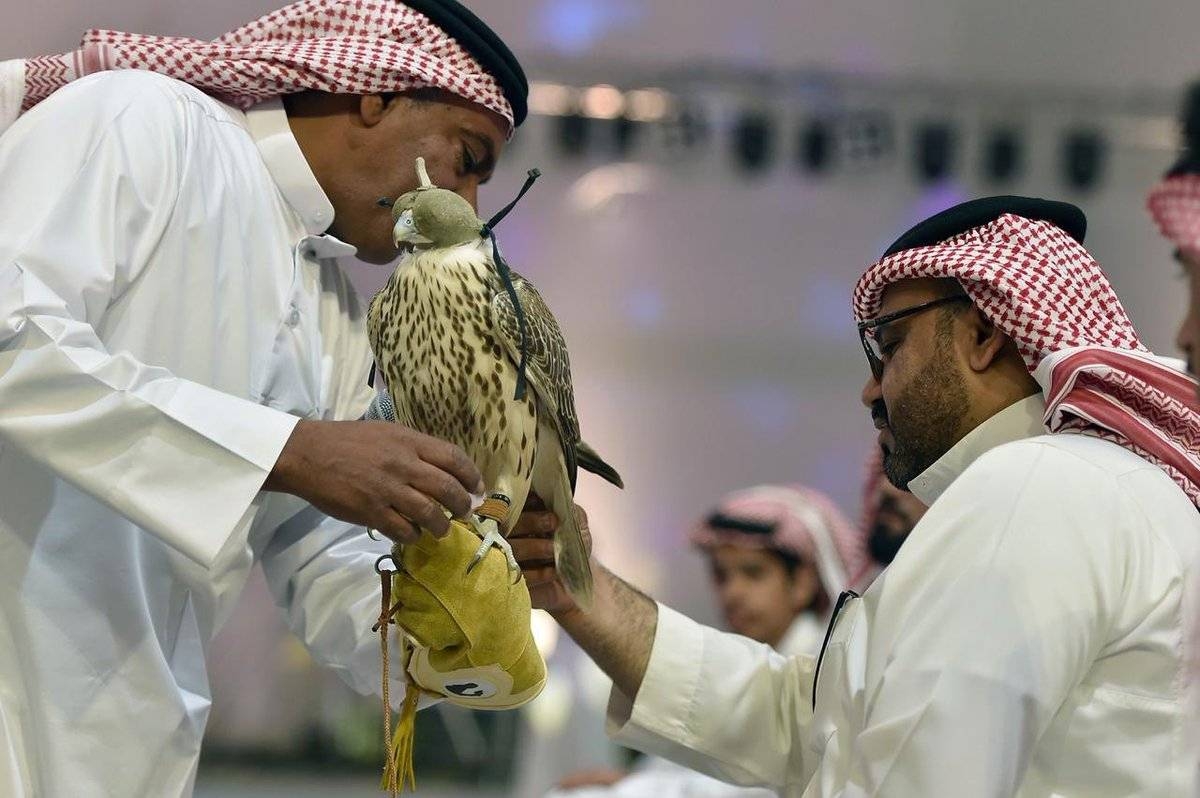 Falcons exhibition draws 70,000 visitors on first day
