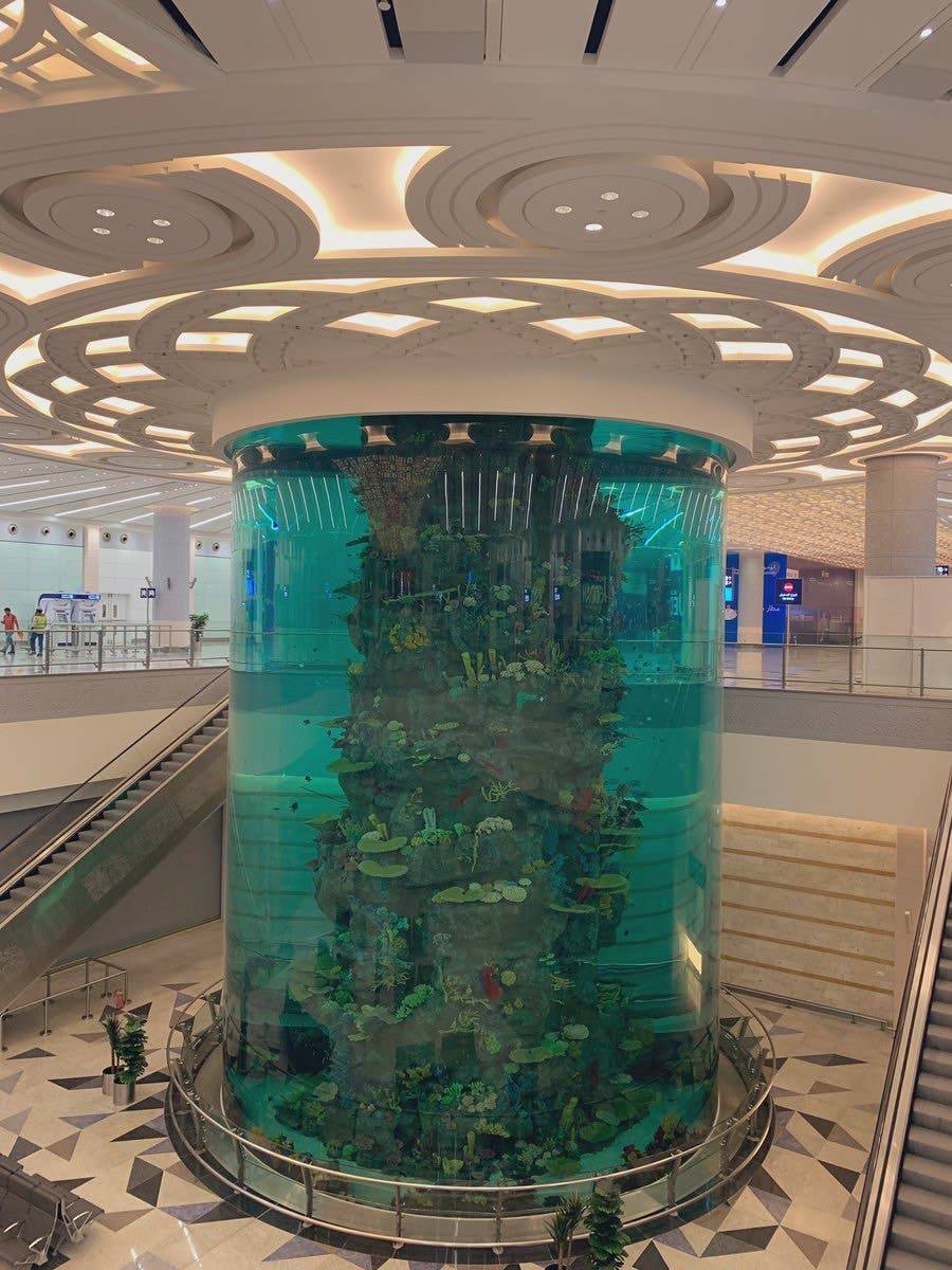 The over 2,000 fish in the airport aquarium include sharks, dogfish, Trevally, Triggerfish and Napoleon fish, which are fed automatically with fresh seafood and algae. — Courtesy photos