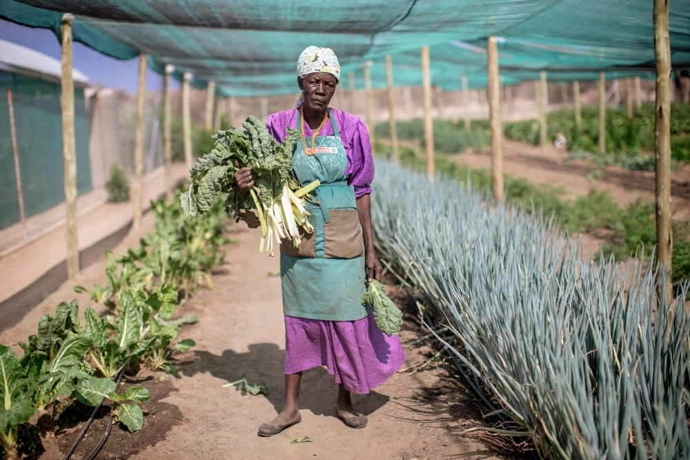 Justina Korases stands in a vegetable garden on a plot part of reclaimed land on November 26, 2019 on the outskirts of Ovitoto settlement in the Okahandja district area, Namibia. -AFP