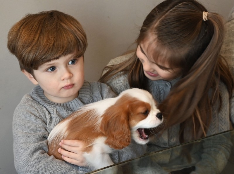 Maren and Ricardo Chamorro pose with their children (from L-R) Johanna, Johan and Thomas and the new family dog Henry during an interview with AFP at their home in McLean, Virginia, Dec. 26, 2019. — AFP