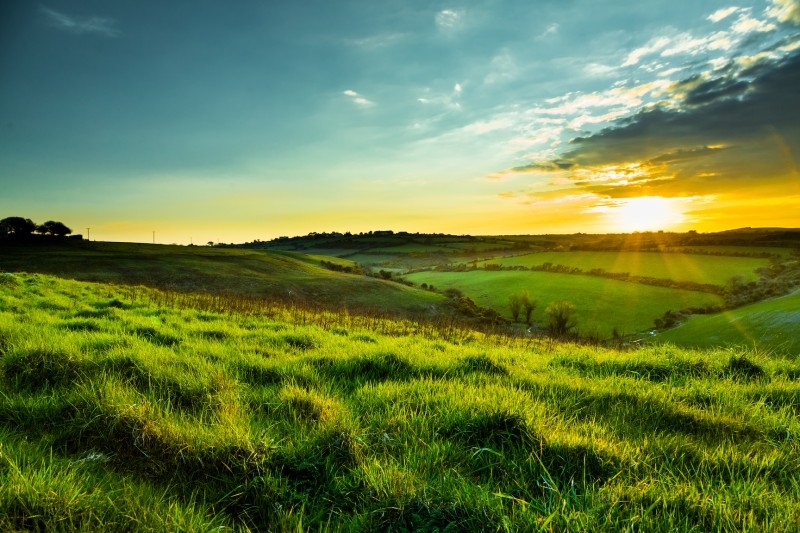 Irish countryside 