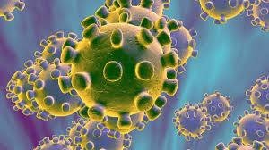 Disease control center begins coronavirus study