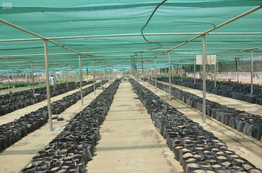 Jazan: Food basket & food security frontline of KSA