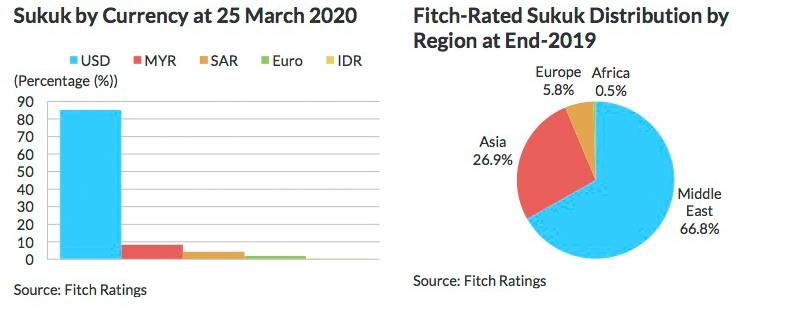 New sukuk issuance is expected to rise: Fitch