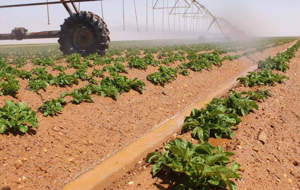agriculture