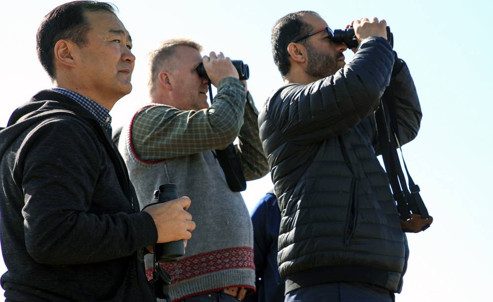 Photographs taken of the work done by scientist working for the the Mohamed Bin Zayed Raptor Conservation Fund to save birds begin electrocuted by power lines by in Mongolia.— Courtesy photo