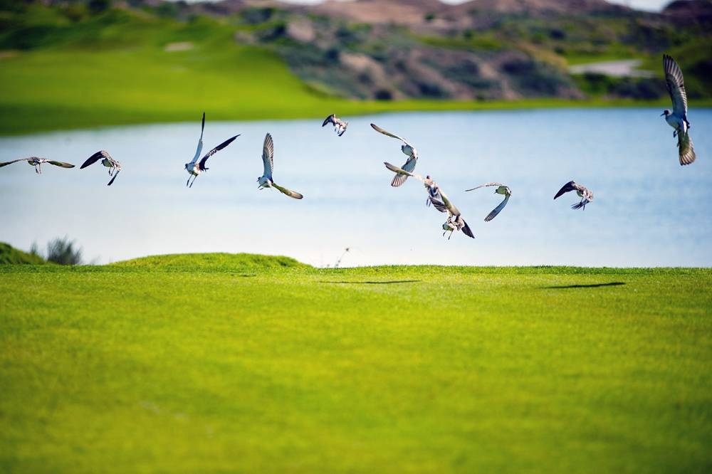 Al Mouj Golf expands its international certifications for environmental excellence.