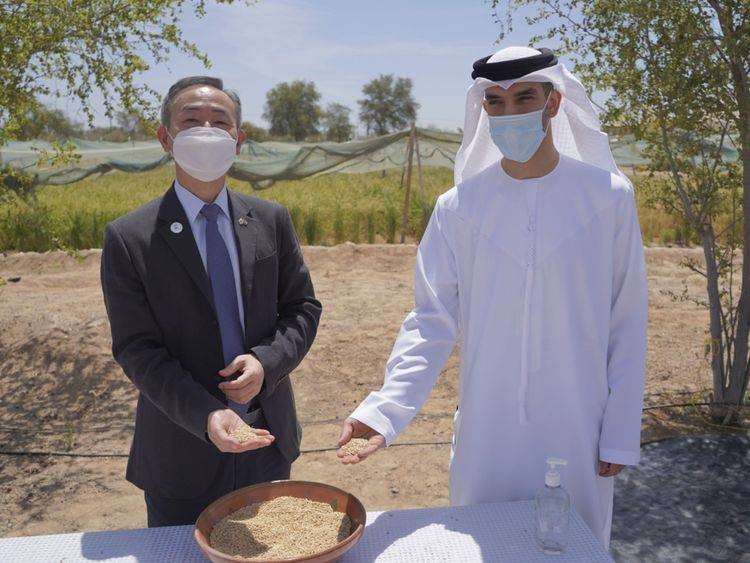  UAE’s Minister of Climate Change and Environment  Dr. Thani Bin Ahmed Al Zeyoudi, right, is seen with Kwon Yongwoo, Ambassador of the Republic to Korea to the UAE. — WA photo