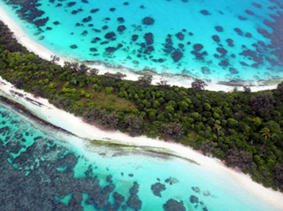 New Caledonia’s coral reefs report offers a glimmer of hope for the future