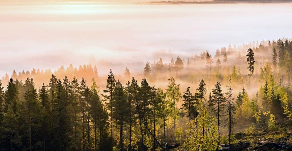 Late September sunrise as seen from Paalijärvi observation tower in Alajärvi, Finland. May 2020, was the warmest on record, UN weather agency WMO has confirmed. — courtesy WMO/Tapio Niemi
