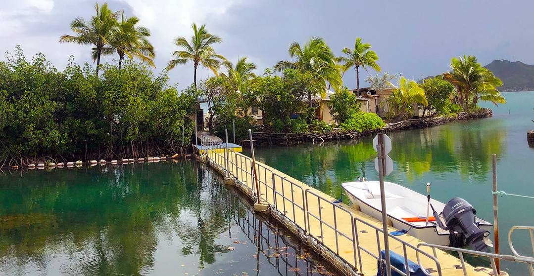 Coral reefs surround Coconut Island where a research center of the Hawaii Institute of Marine Biology is based. — courtesy UN News/Daniel Dickinson
