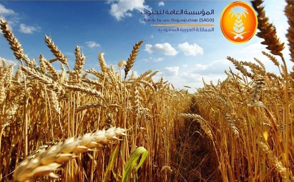 Saudi Arabia's SAGO buys 1.08m tons of barley