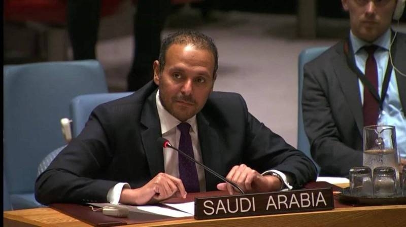 Dr. Manzalawi: Saudi Arabia to continue financing development and partnership with UN