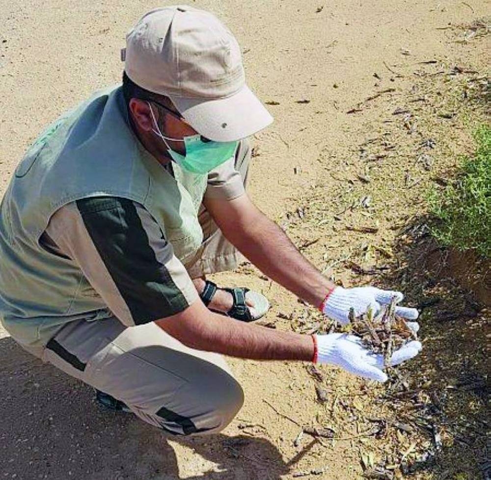 File photo shows the Ministry of Environment, Water and Agriculture field teams seen combating the locust menace.