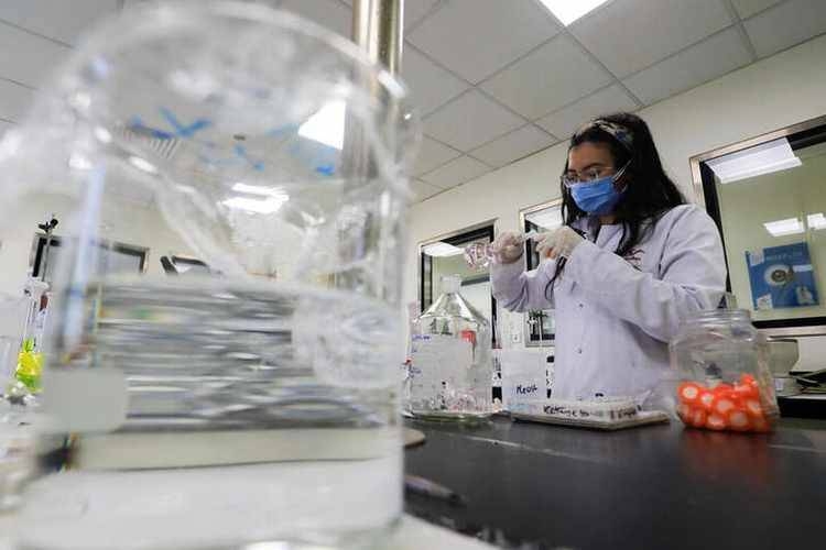 A medic works in an Oman laboratory in this file photo.
