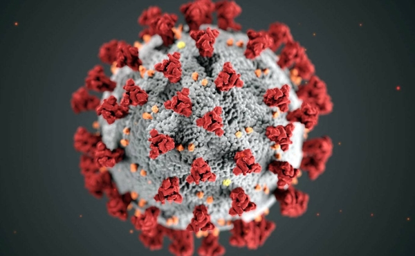 Global coronavirus cases top 14 million; deaths over 600,000