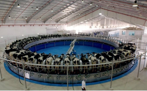 A new 44-minute documentary goes behind the scenes to explore how ‘Marmum’, a brand new state-of-the-art dairy factory in the heart of the UAE.