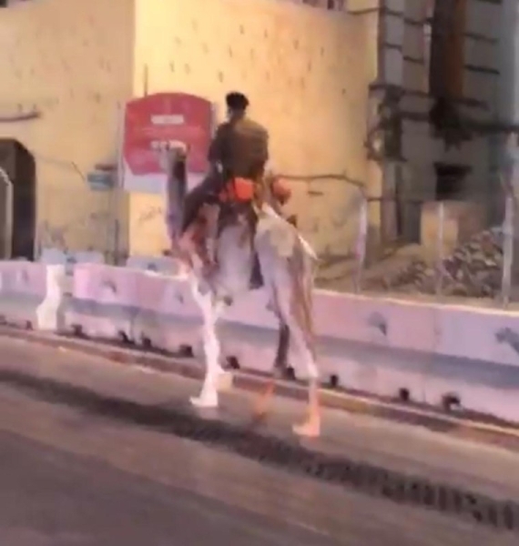 Man riding camel on Makkah highway psychologically ill: Police