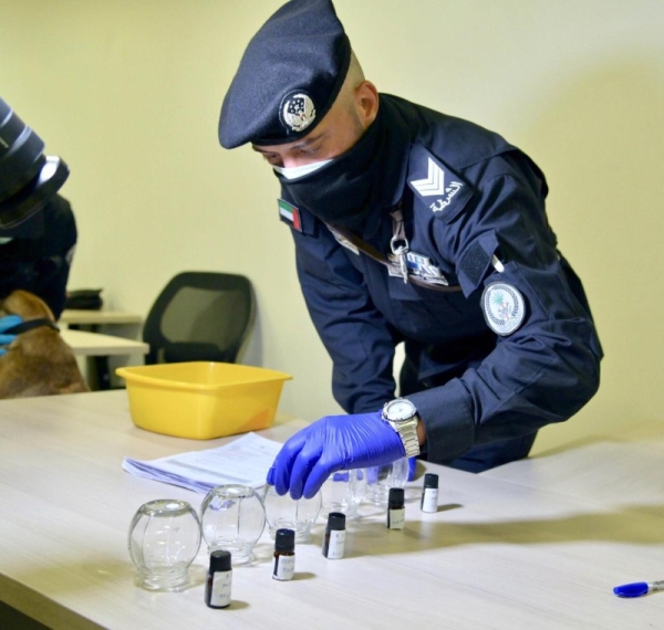 The specialized teams from the national team are distributed at the country's airports to supervise the actual application in monitoring and checking samples taken from those coming to the country from the armpit without direct contact with the dog, the trained dog in seconds can determine the possibility of that this person is infected or not. — WAM photos
