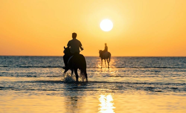 The performances of horsemen on the shores of Umluj governorate have caught the attention of the people and visitors.