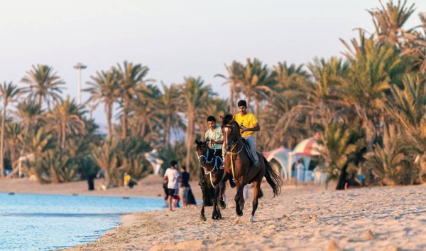 The performances of horsemen on the shores of Umluj governorate have caught the attention of the people and visitors.