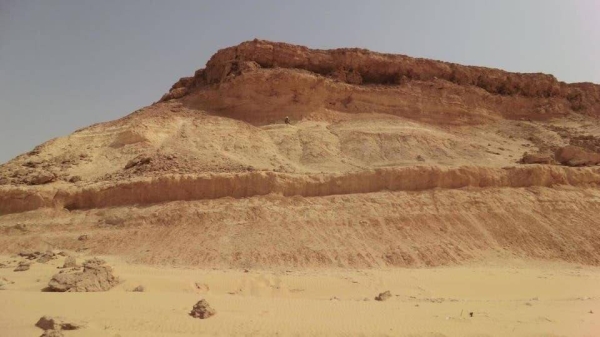 Al-Jahdali revealed that these mountains are semi-deep sediments that are 37 million years old, and these organisms appeared in the geological record about 200 million years ago. These are important tools in determining the geological ages of limestone sedimentary rocks in geological studies, given their concentration and density in marine geological systems of ages.
