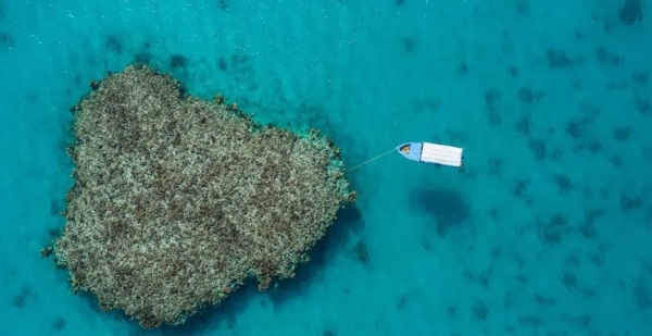 Pictures of the turquoise shore considered the most well-known beach in Umluj governorate has been documented by photographer Mohammed Al-Sharif.