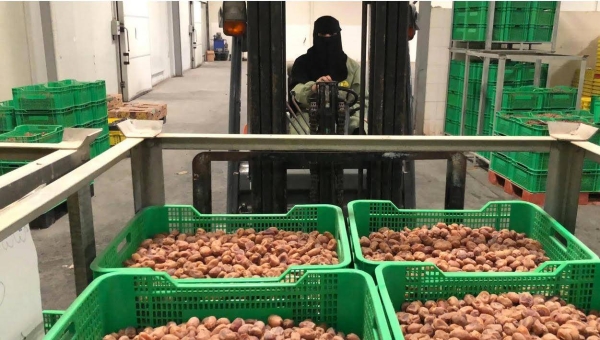Aqeelah works diligently behind the wheel at a dates’ factory in Al-Ahsa in the Eastern Province.

