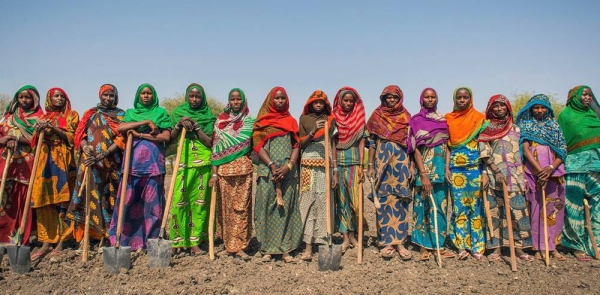 Food assistance programs in Chad promote sustainable agriculture and strengthen incomes and livelihoods. — courtesy WFP/Giulio D'Adamo