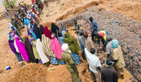 Food assistance programs in Chad promote sustainable agriculture and strengthen incomes and livelihoods. — courtesy WFP/Giulio D'Adamo