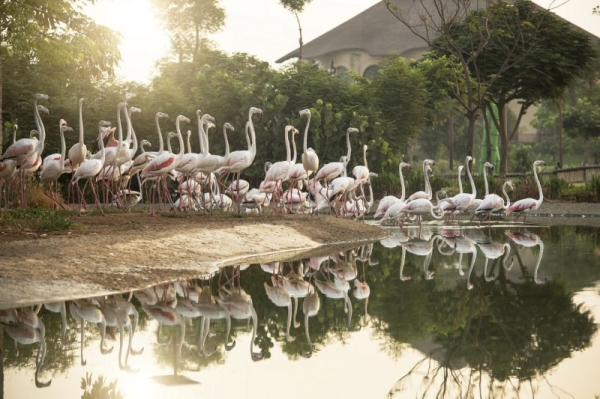 Dubai Municipality on Monday announced that the Dubai Safari Park will welcome visitors starting from Oct. 5, 2020, with a wide range of new interactive, educational, and entertainment experiences for visitors of all ages. — WAM photos