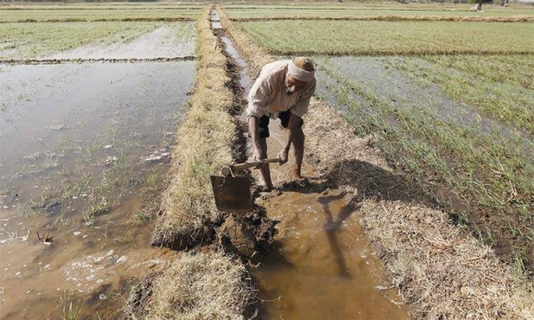 The United Arab Emirates’ growing partnership with India in food security and Dubai’s infrastructure facilities as a global entrepot for food and agricultural products was highlighted on Monday at a bilateral dialogue attended by representatives of both governments and the private sector. — Courtesy photo