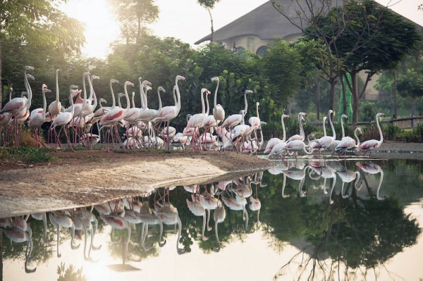 Iconic family entertainment destinations and attractions have reopened under stringent health and safety protocols designed to ensure the health and safety of visitors amid the pandemic, as the revival of Dubai’s tourism industry gathers momentum and everyday life returns to normal across all sectors and communities.