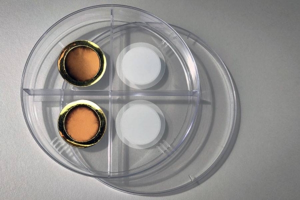 On the right is a porous anodized aluminum oxide membrane. The left side shows the same membrane after coating it with a thin layer of gold, making the membrane conductive for electrochemical gas gating. — courtesy Felice Frankel