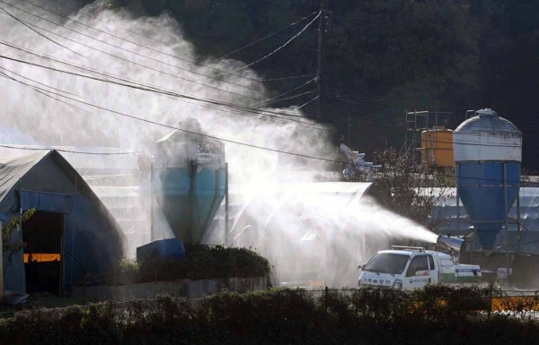 Disinfection measures in poultry farms located in Yongin, Gyeonggi Province on Thursday.— courtesy Yonhap