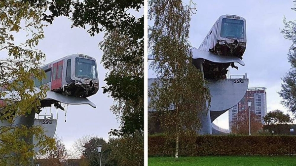 The carriage was left resting around 10 meters in the air on a large sculpture of a whale's tail. — courtesy Instagram @slignav