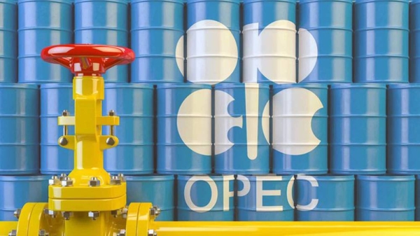 Oil prices rose as the market welcomes US stock draws and puts hope on OPEC , amid excitement for the US election.