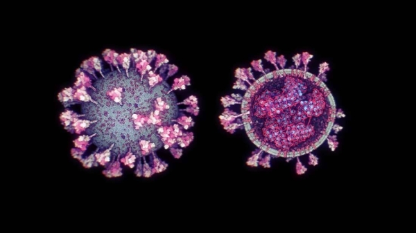 Scientists at King Abdullah University of Science and Technology (KAUST) have released the most up-to-date illustration of the coronavirus ever made, mapping both its external appearance and internal structure. — Courtesy photo