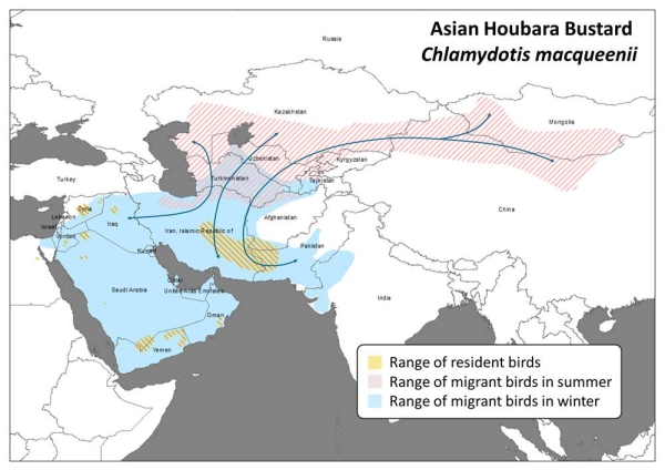Asian Houbara Range Map