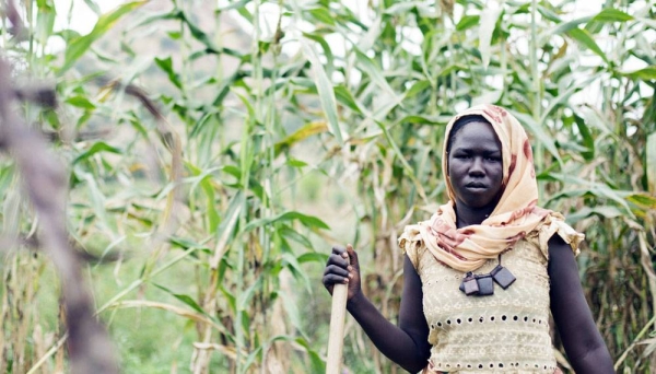 
An over-reliance on traditional activities such as farming has left all but a handful of least developed countries (LDCs) extremely vulnerable to the economic shock caused by COVID-19. File photo shows a family farmer in Chad. — courtesy UNICEF/Asselin
