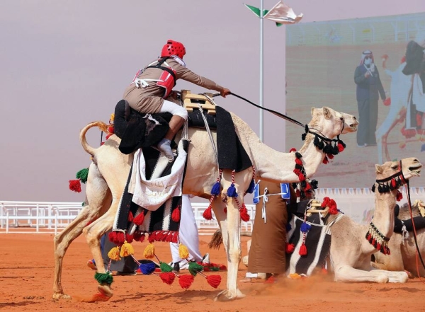 The King Abdul Aziz Camel Festival (KAACF) recently organized the “Tack up & Race” competition in Al Sayahid Al Janoubia, northeast of Riyadh.